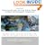 Negotiate and Settle Your Debts - A Debt Settlement Strategy: Learn how to settle debts as low as 20 cents on the dollar (Volume 1)