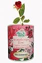Gifts That Bloom ~ Aromatherapy Rose Garden