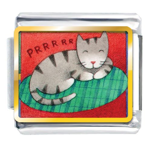 Animal Photo Sleeping Kitty Cat Italian Charms Bracelet Link