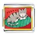 Animal Photo Sleeping Kitty Cat Italian Charms Bracelet Link