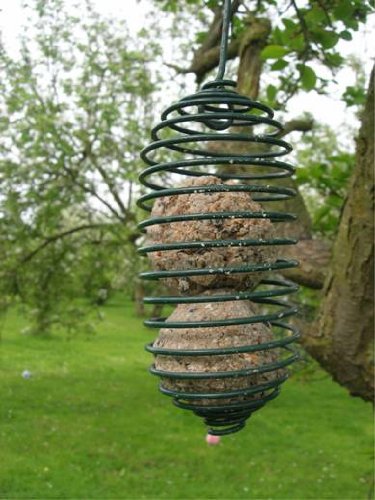 SPIRAL FEEDER