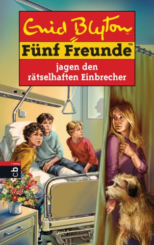 Fünf Freunde jagen den rätselhaften Einbrecher (Einzelbände 59) (German Edition)