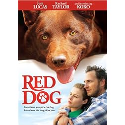 Red Dog