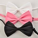 Ready Tied Bow Tie In 3 Colours Black, White & Pink