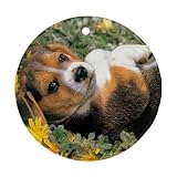 Beagle Puppy Ornament (Round)
