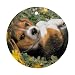 Beagle Puppy Ornament (Round)
