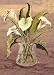 White Lilies in crystal by L. Romero. LAMINATED. 18.75 inches width by 26.50 inches height. Highest Quality Art Poster Print