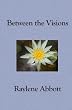 Between the Visions: Seeing Through the Eyes of an American Mystic