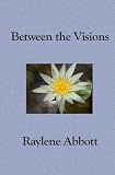 Between the Visions: Seeing Through the Eyes of an American Mystic