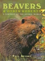 Beavers & Other Rodents