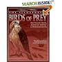 The Illustrated Birds of Prey: Red-Tailed Hawk, American Kestrel & Peregrine Falcon: The Ultimate Reference Guide for Bird Lovers, Artists, and Woodcarvers (The Denny Rogers Visual Reference series)