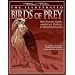 Illustrated Birds of Prey, The: Red Tailed Hawk, American Kestrel and Peregrine Falcon