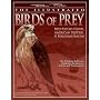 Illustrated Birds of Prey, The: Red Tailed Hawk, American Kestrel and Peregrine Falcon