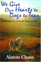 We Give Our Hearts to Dogs to Tear: Intimations of their Immortality
