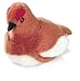 Plush Willow Ptarmigan 5