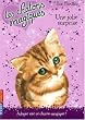 Les chatons magiques, Tome 1 : Une jolie surprise