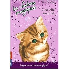 Les chatons magiques, Tome 1 : Une jolie surprise