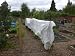 GARDEN FLEECE FOR FROST SNOW BIRD INSECT PROTECTION