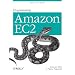 Programming Amazon EC2