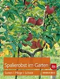 Produkt-Bild: Spalierobst im Garten: Sorten, Pflege, Schnitt