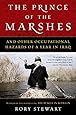 The Prince of the Marshes: And Other Occupational Hazards of a Year in Iraq