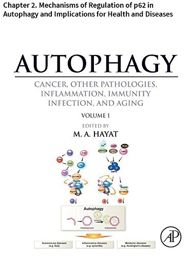 Autophagy: Chapter 2. Mechanisms of Regulation of p62 in Autophagy and Implications for Health and Diseases
