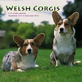Produkt-Bild: Welsh Corgis 2012 Kalender