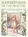 Flower Fairies of the Winter