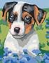 Puppy Paint By Numbers