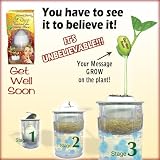 Unique, Amazing, and special Greeting Card Egg – “Get Well Soon”