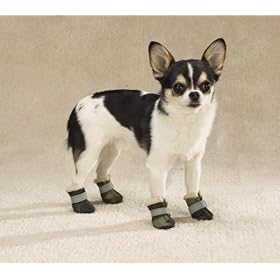 buy, Dogs Accessories