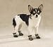 GREEN Camo Oxford Dog Boots GREEN - XX-SMALL - Camo Oxford Dog Boots