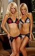 Sheer Mesh Bra and thong lingerie set