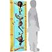 Madagascar Growth Chart - Magnetic