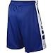Nike Elite Stripe Men's Basketball Athletic Shorts (S, 480 Game Royal/White/Metallic Silver)