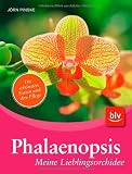 Phalaenopsis - meine Lieblingsorchidee: Die schönsten Sorten und ihre Pflege