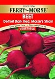 Ferry-Morse 1230 Beet Seeds, Dark Red (5.32 Gram Packet)