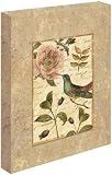 Collage Naturel I by Philippa Katz - Gallery Wrapped Giclee Canvas Art