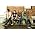 Vignette de The Datsuns