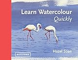 Learn watercolour quickly