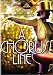 Chorus Line