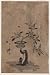 Poster of historic Japanese Art: a monkey sitting on a bamboo mat with right hand raised, holding a flower pot containing a loquat plant laden with fruit