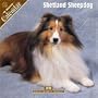 Shetland Sheepdog 2008 Wall Calendar (English, Spanish, French, Italian and German Edition)