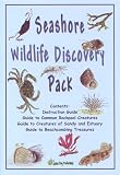 Seashore wildlife discovery pack