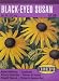 Perennial Black-Eyed Susan Seeds