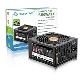 Prudent Way Superior Plus 650W ATX 2.2 Power Supply with Active PFC (Energy Efficient 80 Plus Certified)