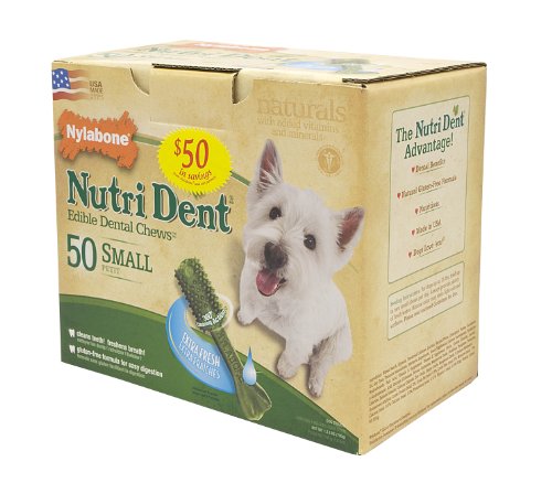 dental for dogs:Nylabone Nutri Dent Extra Fresh, 50 Count Pantry Pack