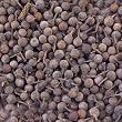 Cubeb Pepper By ChefShop