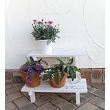 鉢棚：フラワースタンド　2段ホワイト（幅45cm、奥行き34cm、高さ30cm）[木製花台]