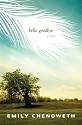 Hello Goodbye: A Novel